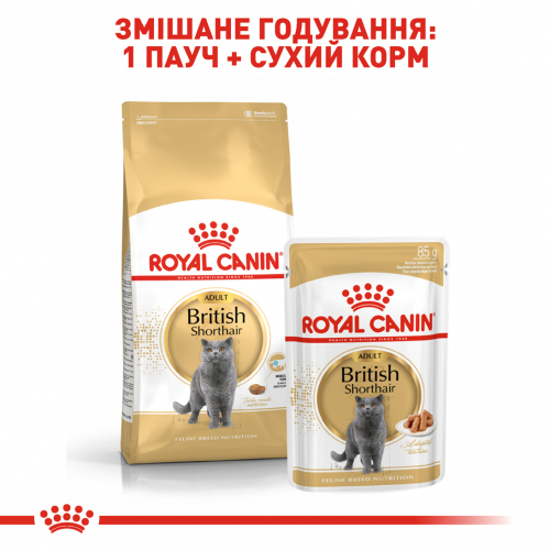 Royal Canin BRITISH SHORTHAIR ADULT корм для котів породи британська короткошерста старше 12 місяців