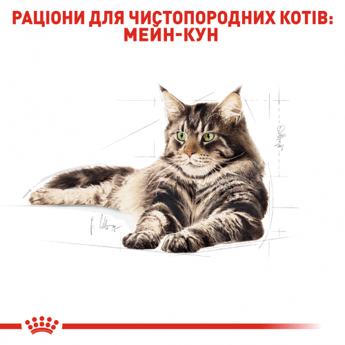 Royal Canin MAINECOON ADULT Вологий корм для котів породи мейн-кун в віці старше 15 місяців.