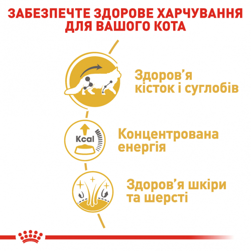 Royal Canin MAINECOON ADULT Вологий корм для котів породи мейн-кун в віці старше 15 місяців.