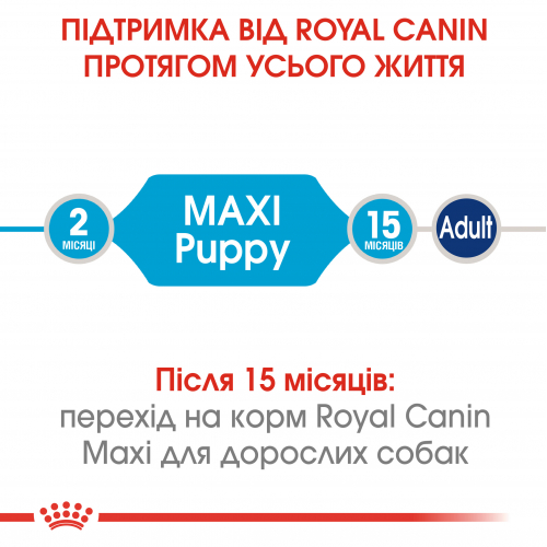 Royal Canin MAXI PUPPY Корм для цуценят великих порід у віці від 2 до 15 місяців