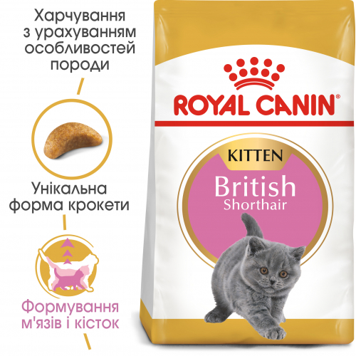 Royal Canin KITTEN BRITISH SHORTHAIR Корм для кошенят породи британська короткошерста до 12 місяців