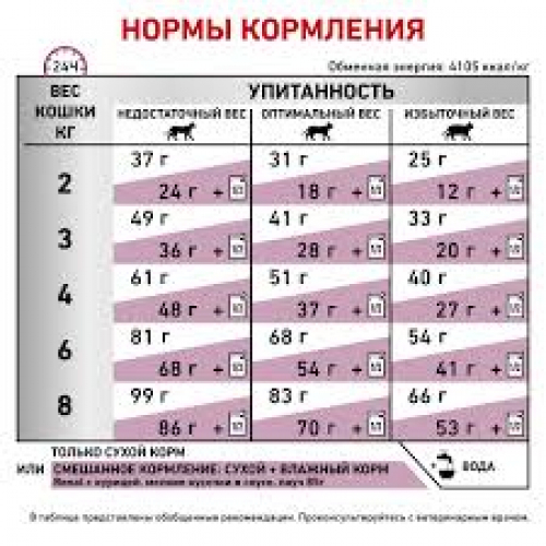 Royal Canin RENAL SELECT FELINE корм для котів у віці від 12 місяців з нирковою недостатністю.