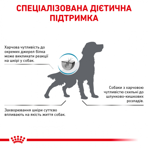 Сухий корм Royal Canin Anallergenic Dog для собак при харчової алергії або непереносимості.