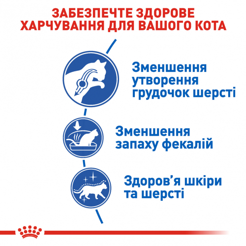 Сухий корм для довгошерстих котів від 1 до 7 років живуть в приміщенні Royal Canin Indoor Long Hair