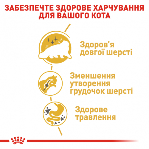 Сухий корм для котів персидської породи від 12 місяців Royal Canin Persian Adult