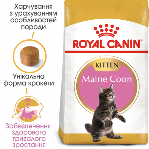 Сухий корм для кошенят породи мейн-кун до 15 місяців Royal Canin Maine Coon Kitten