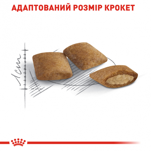 Сухий корм для зрілих котів старше 12 років Royal Canin Ageing +12