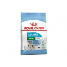 Сухий корм Royal Canin Mini Starter для собак дрібних порід в період вагітності і лактації.