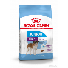 Сухий корм Royal Canin Giant Junior для цуценят гігантських порід старше 8 місяців